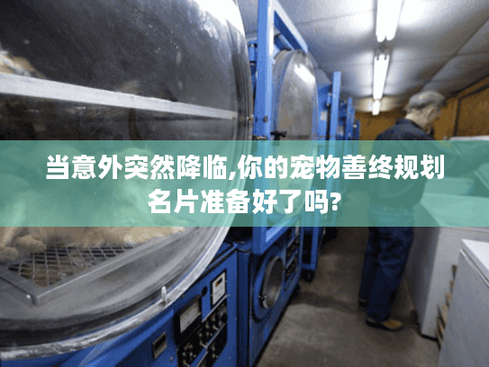 当意外突然降临,你的宠物善终规划名片准备好了吗?