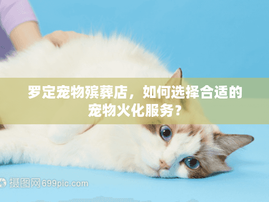 罗定宠物殡葬店，如何选择合适的宠物火化服务？