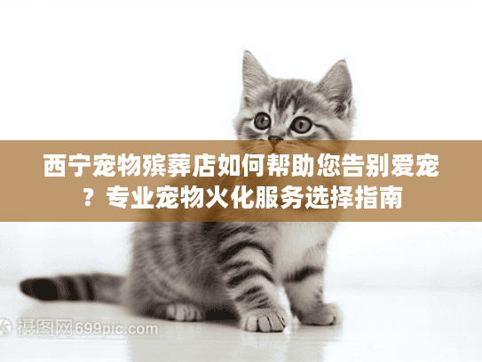 西宁宠物殡葬店如何帮助您告别爱宠？专业宠物火化服务选择指南