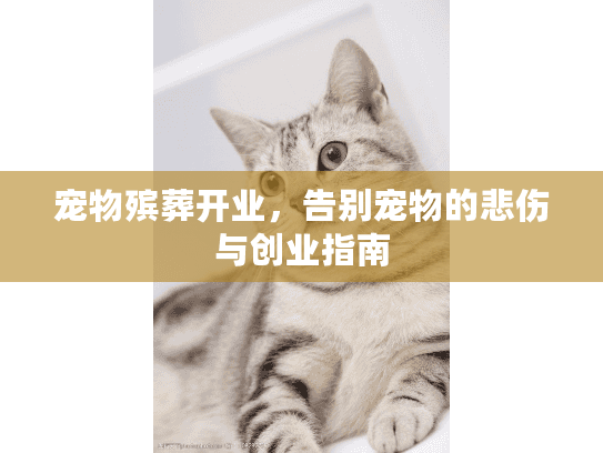 宠物殡葬开业，告别宠物的悲伤与创业指南