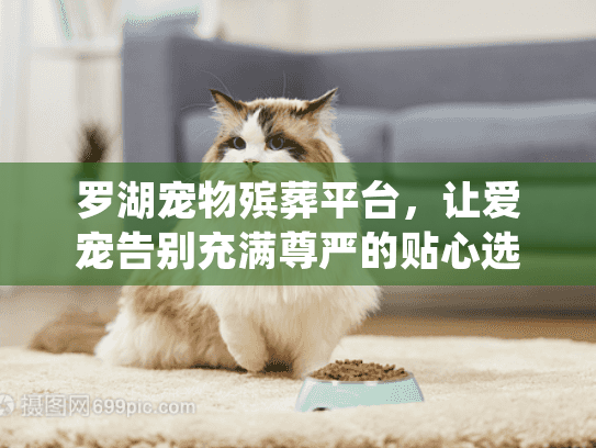 罗湖宠物殡葬平台，让爱宠告别充满尊严的贴心选择