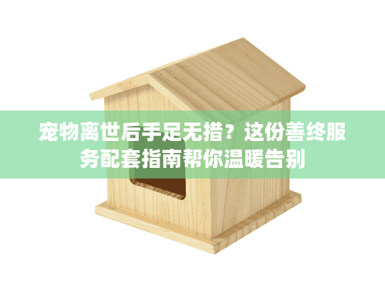 宠物离世后手足无措？这份善终服务配套指南帮你温暖告别
