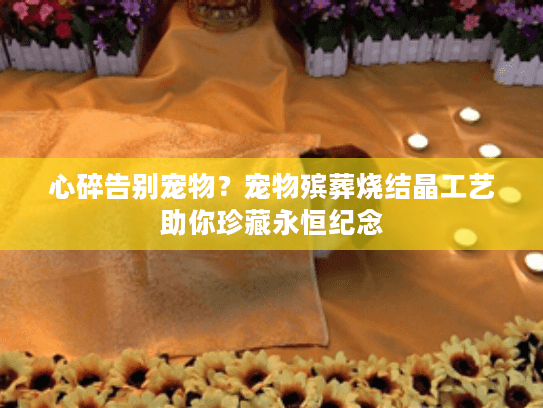 心碎告别宠物？宠物殡葬烧结晶工艺助你珍藏永恒纪念