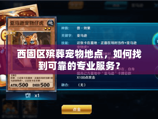 西固区殡葬宠物地点，如何找到可靠的专业服务？