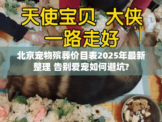 北京宠物殡葬价目表2025年最新整理 告别爱宠如何避坑?