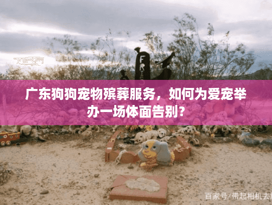 广东狗狗宠物殡葬服务，如何为爱宠举办一场体面告别？