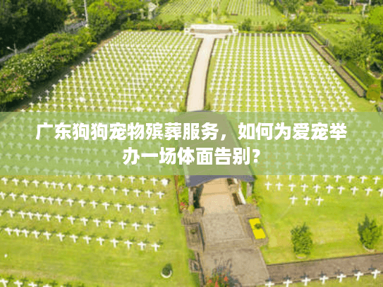 广东狗狗宠物殡葬服务，如何为爱宠举办一场体面告别？