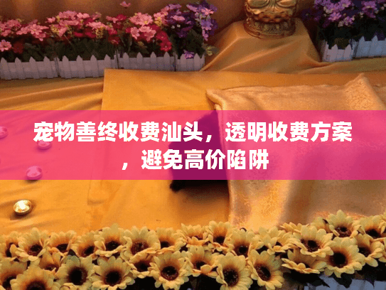 宠物善终收费汕头，透明收费方案，避免高价陷阱
