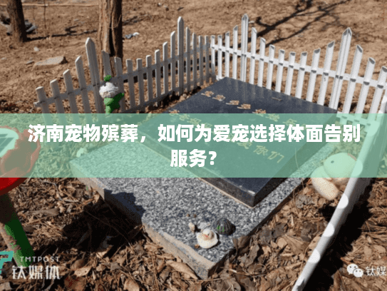 济南宠物殡葬，如何为爱宠选择体面告别服务？