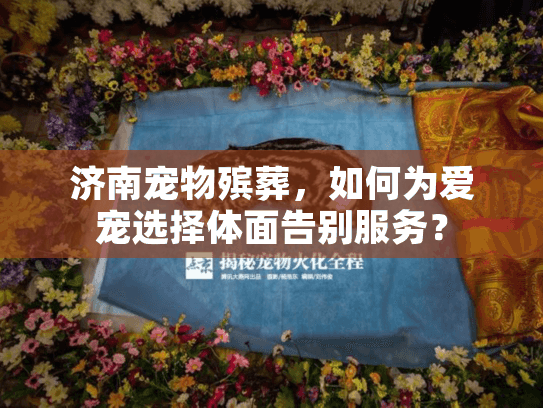 济南宠物殡葬，如何为爱宠选择体面告别服务？