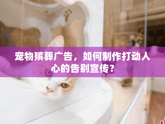 宠物殡葬广告，如何制作打动人心的告别宣传？