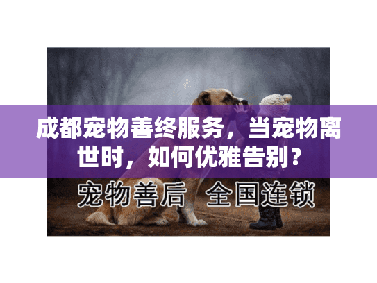 成都宠物善终服务，当宠物离世时，如何优雅告别？