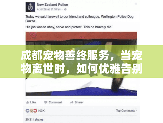 成都宠物善终服务，当宠物离世时，如何优雅告别？