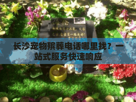 长沙宠物殡葬电话哪里找？一站式服务快速响应
