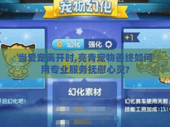 当爱宠离开时,亮青宠物善终如何用专业服务抚慰心灵?