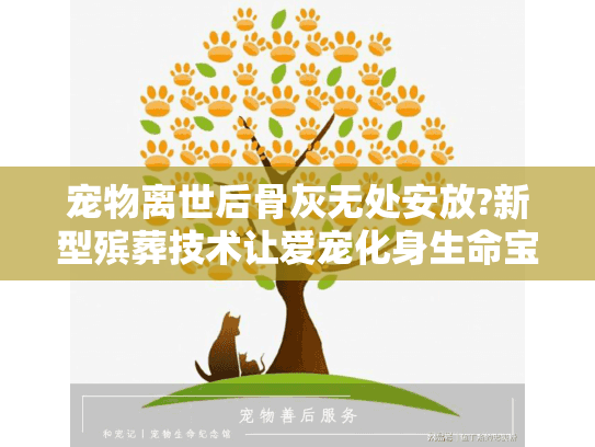 宠物离世后骨灰无处安放?新型殡葬技术让爱宠化身生命宝石永恒相伴
