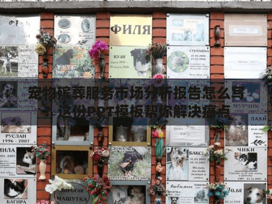 宠物殡葬服务市场分析报告怎么写？这份PPT模板帮你解决痛点