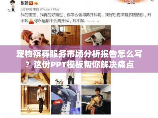 宠物殡葬服务市场分析报告怎么写？这份PPT模板帮你解决痛点