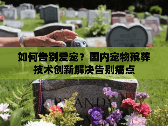 如何告别爱宠？国内宠物殡葬技术创新解决告别痛点