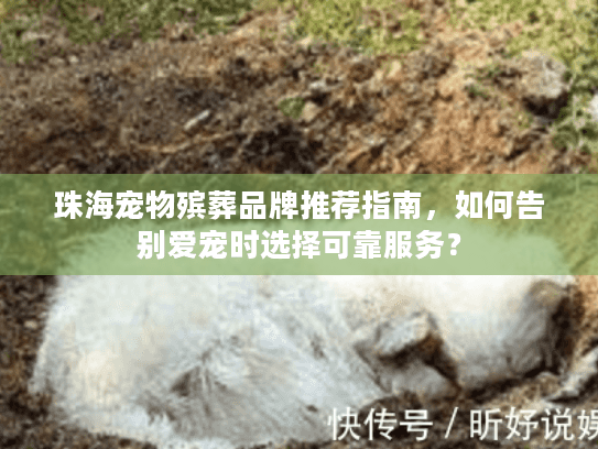 珠海宠物殡葬品牌推荐指南，如何告别爱宠时选择可靠服务？