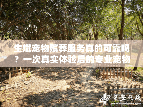 生斌宠物殡葬服务真的可靠吗？一次真实体验后的专业宠物善终选择指南