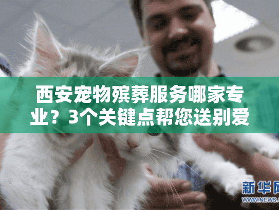 西安宠物殡葬服务哪家专业？3个关键点帮您送别爱宠