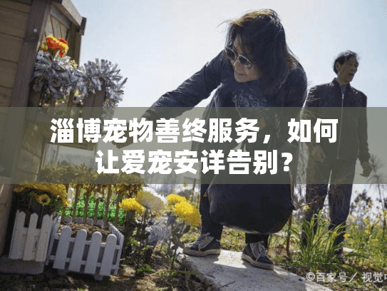 淄博宠物善终服务，如何让爱宠安详告别？