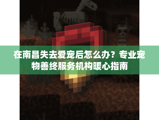 在南昌失去爱宠后怎么办？专业宠物善终服务机构暖心指南
