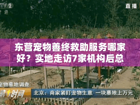 东营宠物善终救助服务哪家好？实地走访7家机构后总结的避坑指南