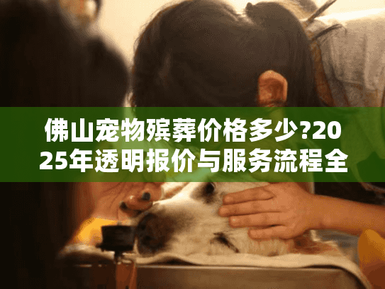 佛山宠物殡葬价格多少?2025年透明报价与服务流程全解析