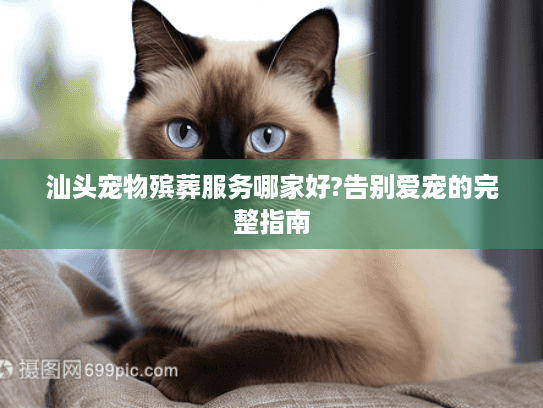 汕头宠物殡葬服务哪家好?告别爱宠的完整指南