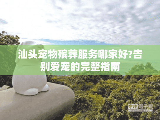 汕头宠物殡葬服务哪家好?告别爱宠的完整指南