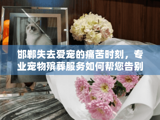 邯郸失去爱宠的痛苦时刻，专业宠物殡葬服务如何帮您告别？