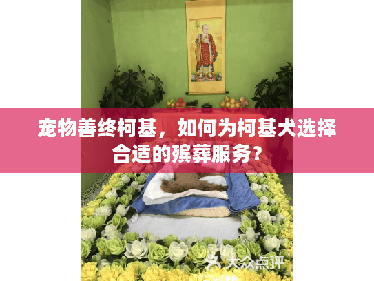 宠物善终柯基，如何为柯基犬选择合适的殡葬服务？