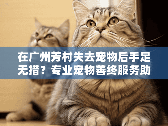 在广州芳村失去宠物后手足无措？专业宠物善终服务助您安心告别