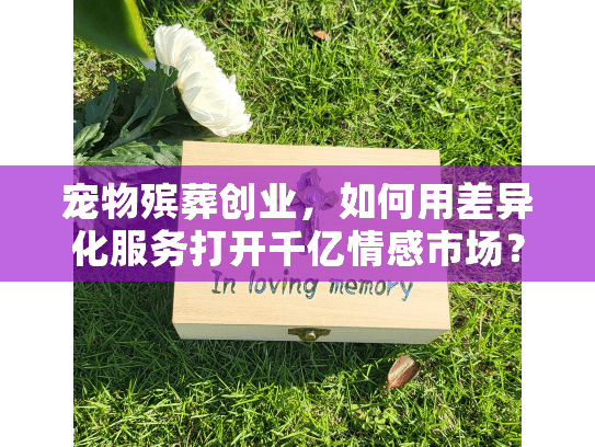宠物殡葬创业，如何用差异化服务打开千亿情感市场？