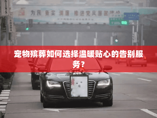 宠物殡葬如何选择温暖贴心的告别服务？