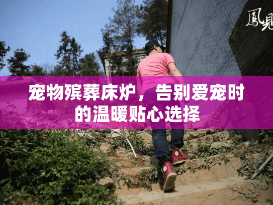 宠物殡葬床炉，告别爱宠时的温暖贴心选择