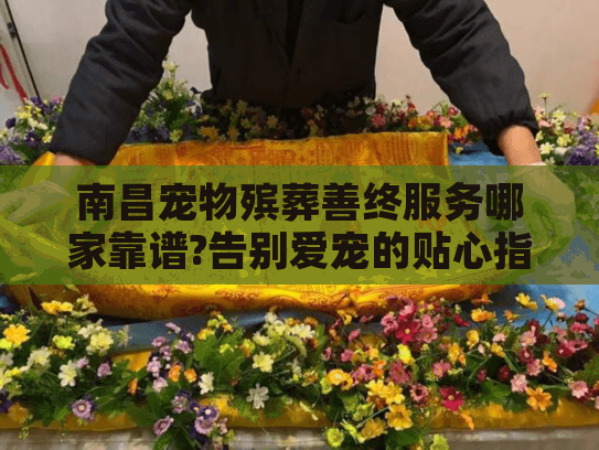 南昌宠物殡葬善终服务哪家靠谱?告别爱宠的贴心指南