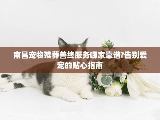 南昌宠物殡葬善终服务哪家靠谱?告别爱宠的贴心指南