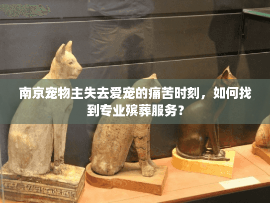 南京宠物主失去爱宠的痛苦时刻，如何找到专业殡葬服务？