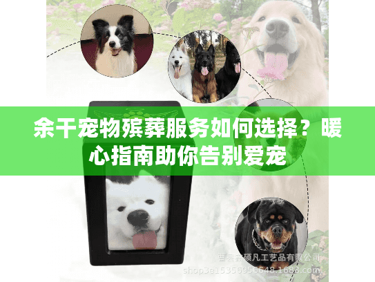 余干宠物殡葬服务如何选择？暖心指南助你告别爱宠