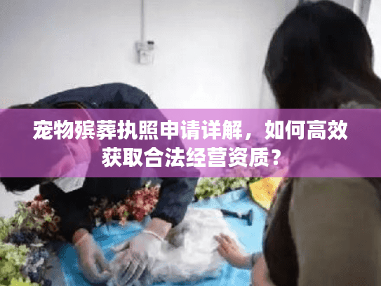 宠物殡葬执照申请详解，如何高效获取合法经营资质？