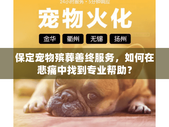 保定宠物殡葬善终服务，如何在悲痛中找到专业帮助？