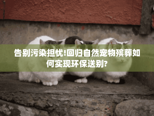 告别污染担忧!回归自然宠物殡葬如何实现环保送别?