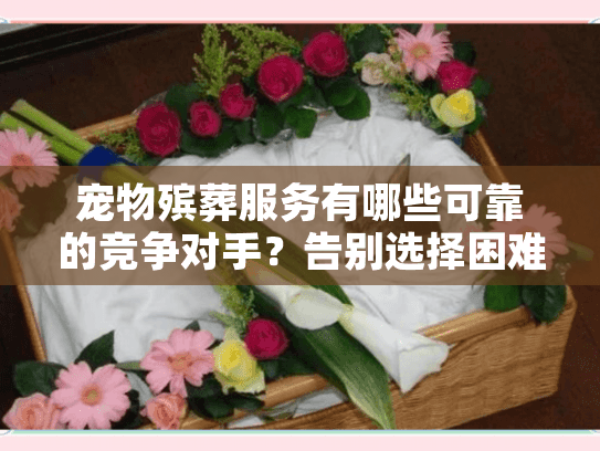 宠物殡葬服务有哪些可靠的竞争对手？告别选择困难指南