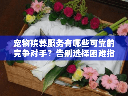 宠物殡葬服务有哪些可靠的竞争对手？告别选择困难指南