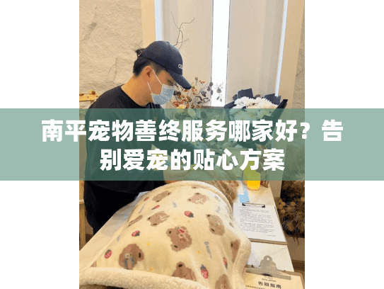 南平宠物善终服务哪家好？告别爱宠的贴心方案