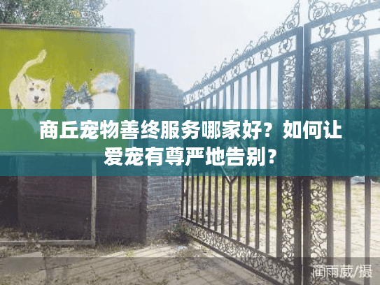 商丘宠物善终服务哪家好？如何让爱宠有尊严地告别？