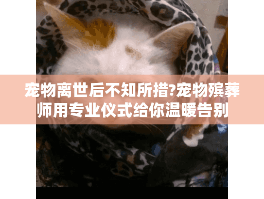 宠物离世后不知所措?宠物殡葬师用专业仪式给你温暖告别